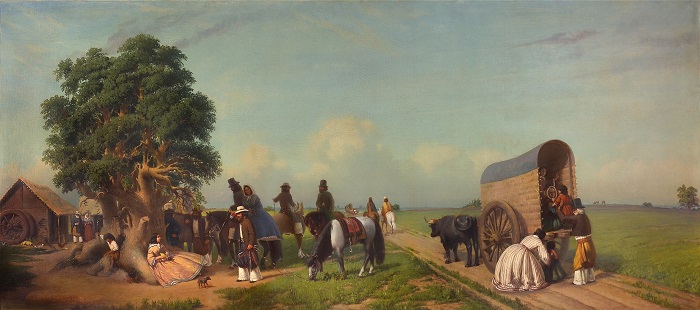 UN ALTO EN EL CAMPO